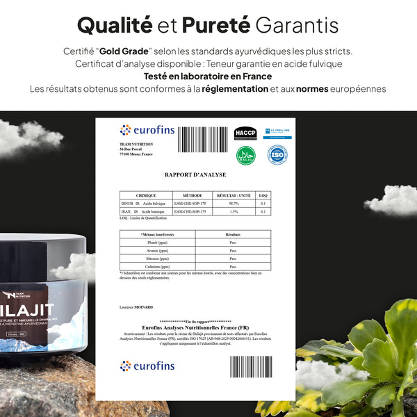 Shilajit - Résine d'Himalaya (Grade or)