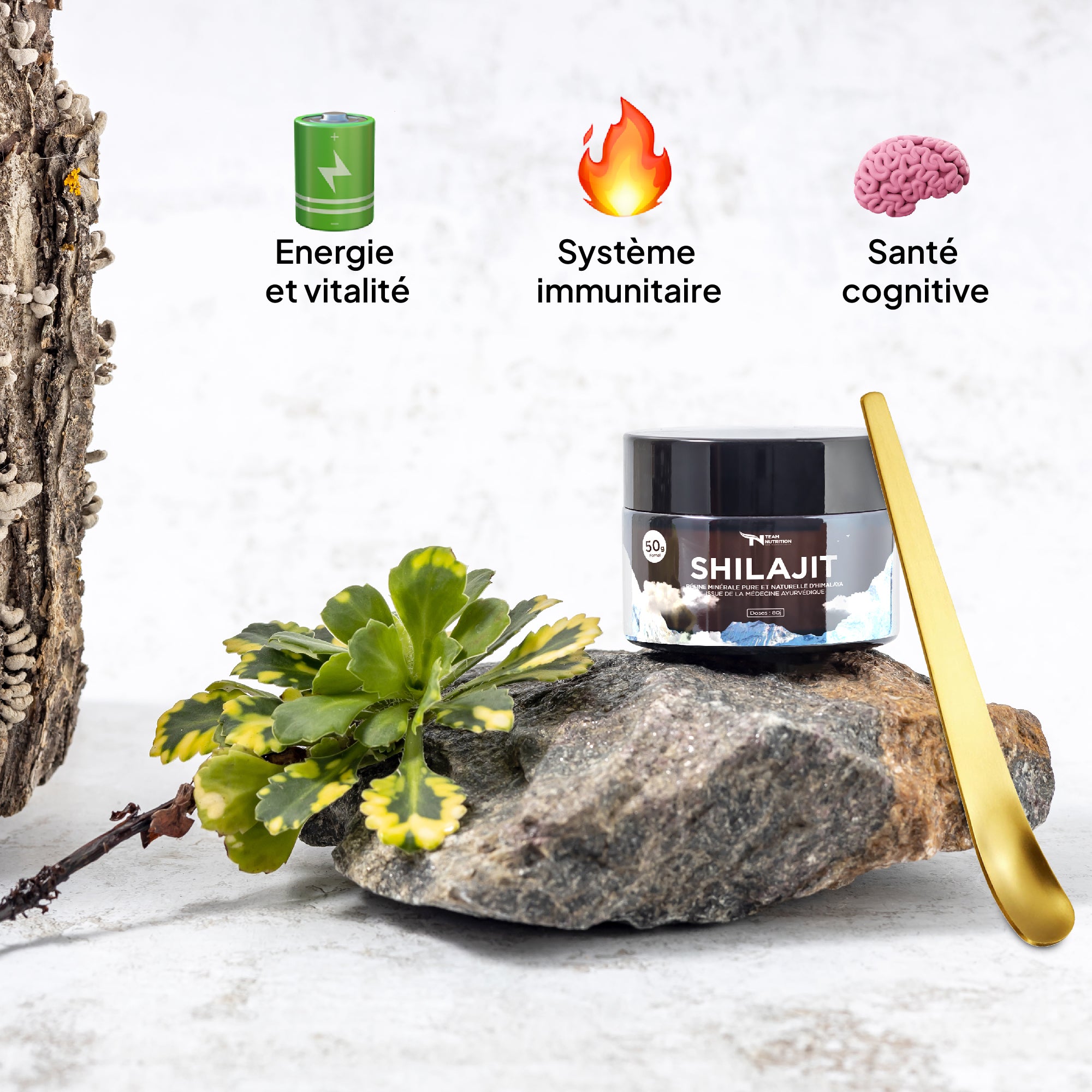 Shilajit - Résine d'Himalaya (Grade or)