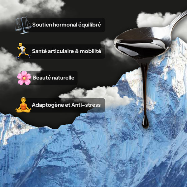 Shilajit - Résine d'Himalaya (Grade or)