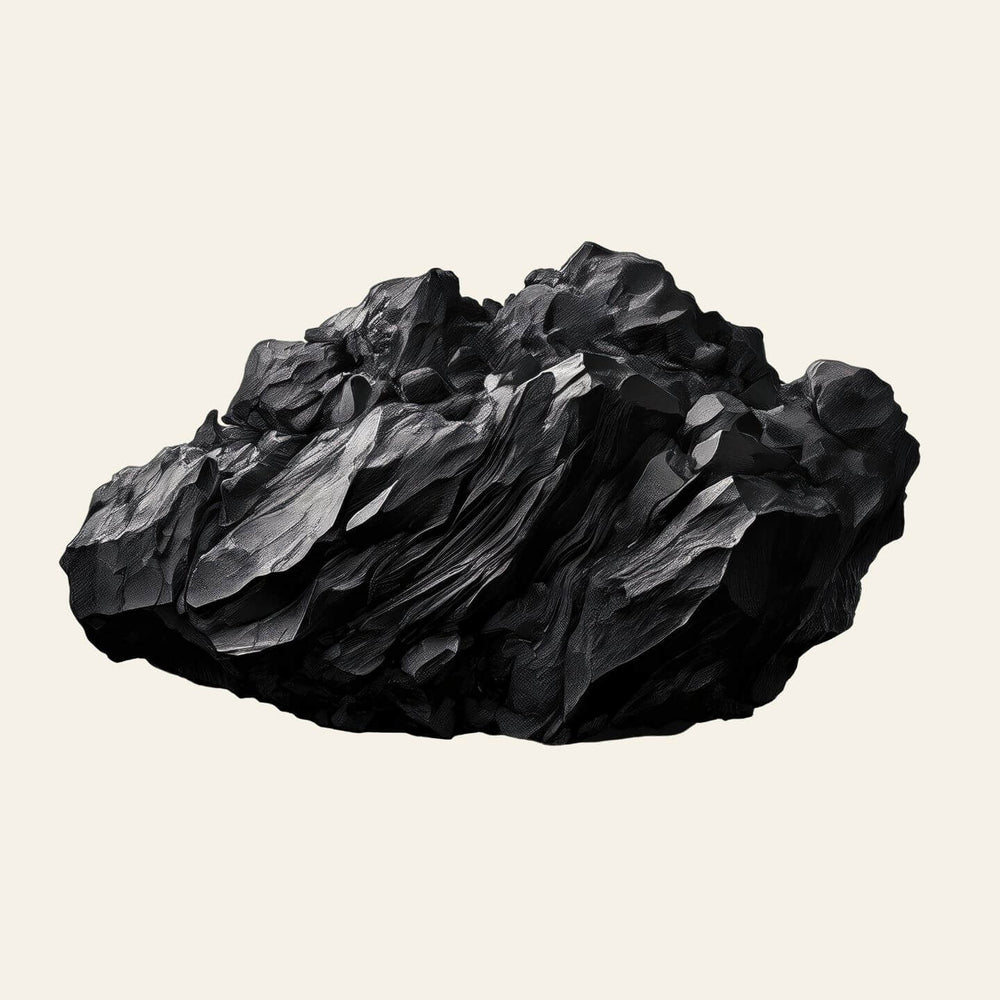 Shilajit - Résine d'Himalaya (Grade or)