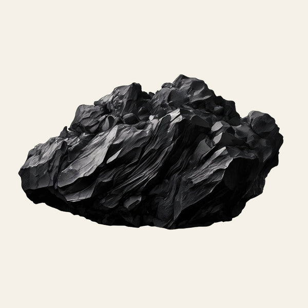 Shilajit - Résine d'Himalaya (Grade or)