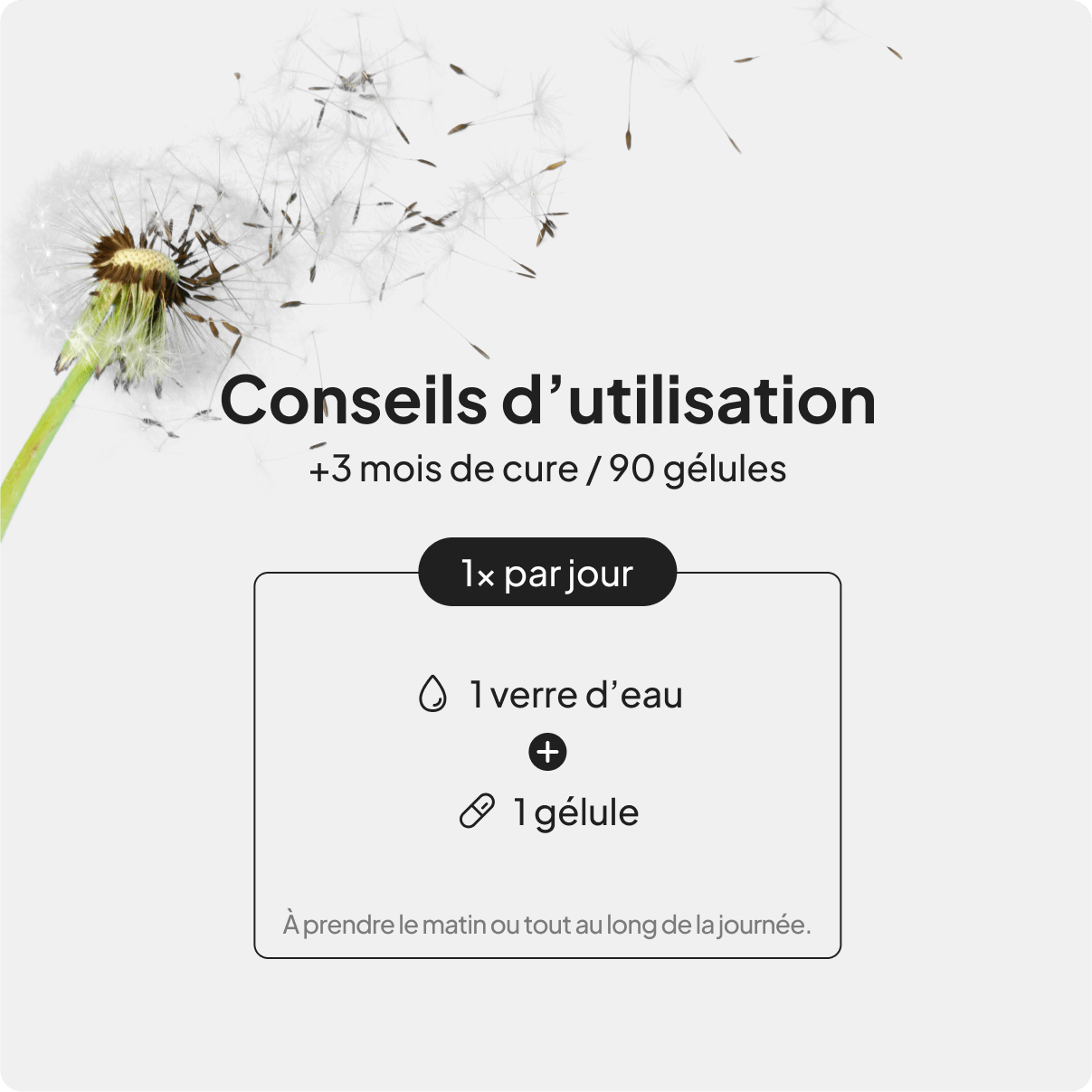 Brûleur de graisse