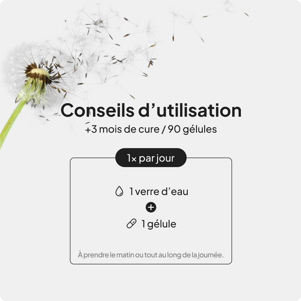 Brûleur de graisse