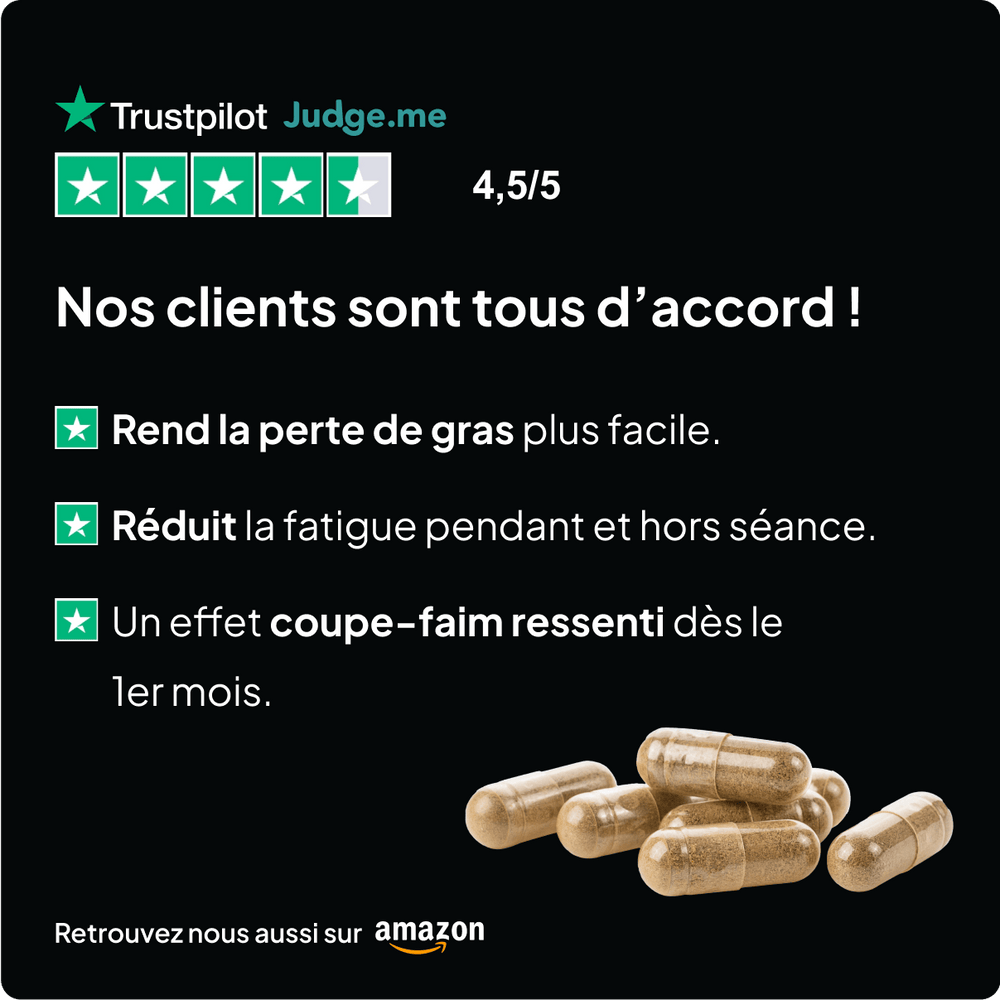 Brûleur de graisse