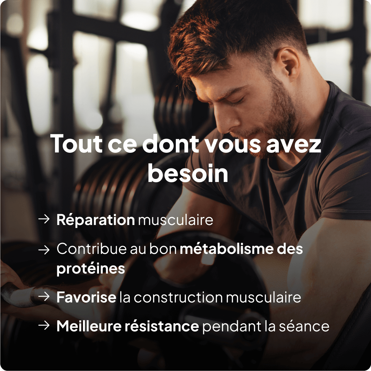 E.A.A : Acides aminés essentiels