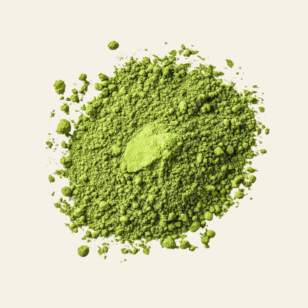 Moringa - Feuilles séchées d’excellence (1050 mg)