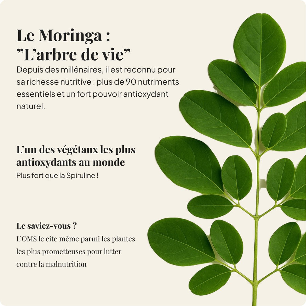 Moringa - Feuilles séchées d’excellence (1050 mg)