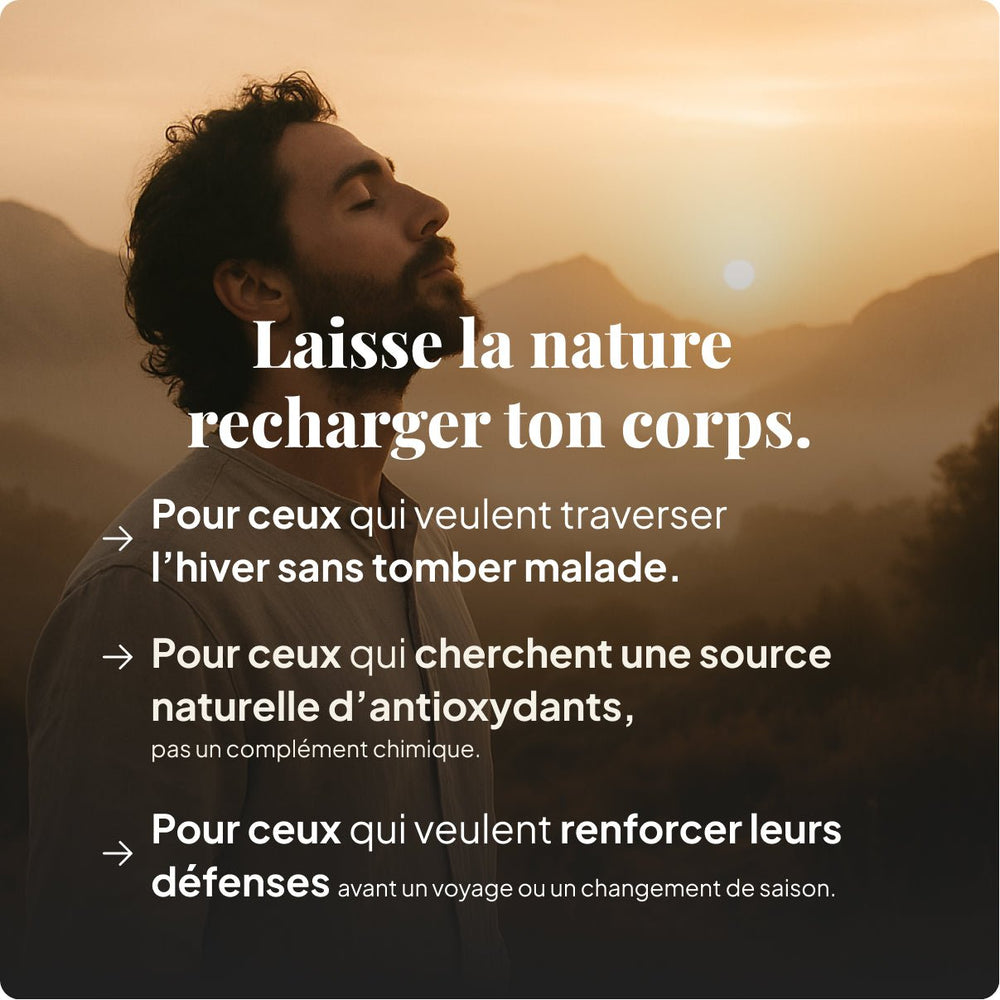 Moringa - Feuilles séchées d’excellence (1050 mg)