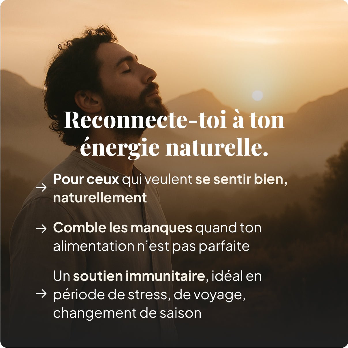 Multivitamines + Coenzymes Q10