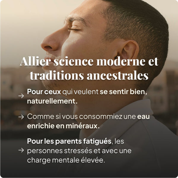 Shilajit en Gélules - 60 Gélules (1 mois)