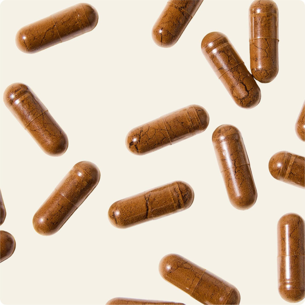 Shilajit en Gélules - 60 Gélules (1 mois)