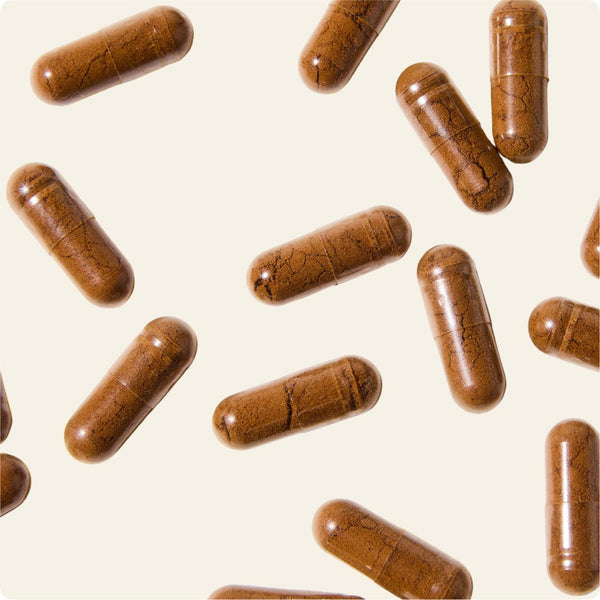 Shilajit en Gélules - 60 Gélules (1 mois)