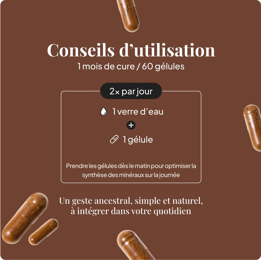 Shilajit en Gélules - 60 Gélules (1 mois)