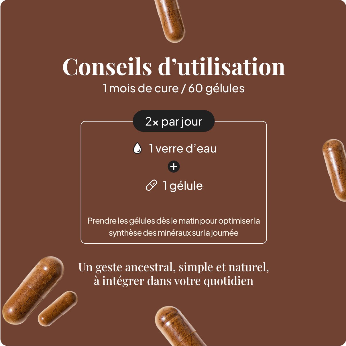 Shilajit en Gélules - 60 Gélules (1 mois)