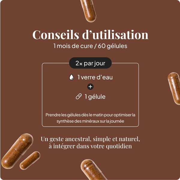 Shilajit en Gélules - 60 Gélules (1 mois)