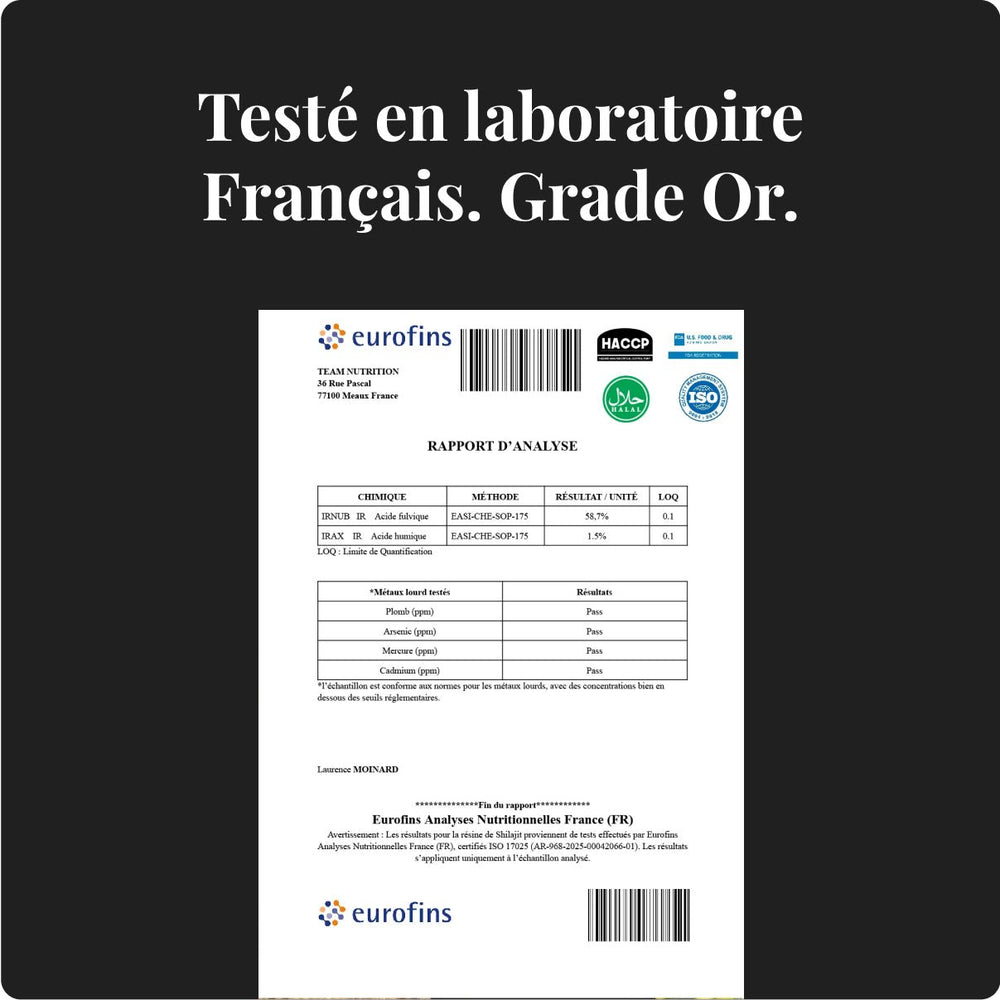 Zoom sur le test en laboratoire Team Nutrition du Shilajit avec 75% d'acide fulvique et aucun métaux lourd